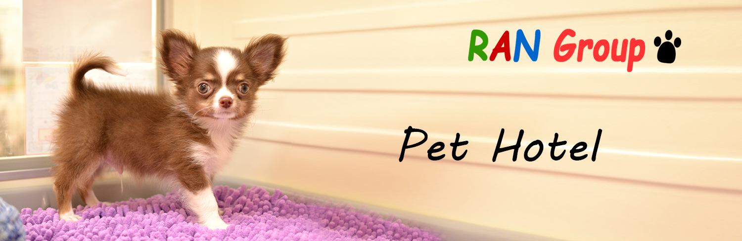 RAN Group Pet Hotel