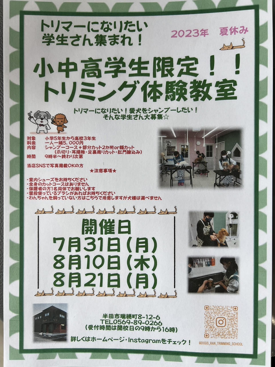 トリミングスクール体験教室